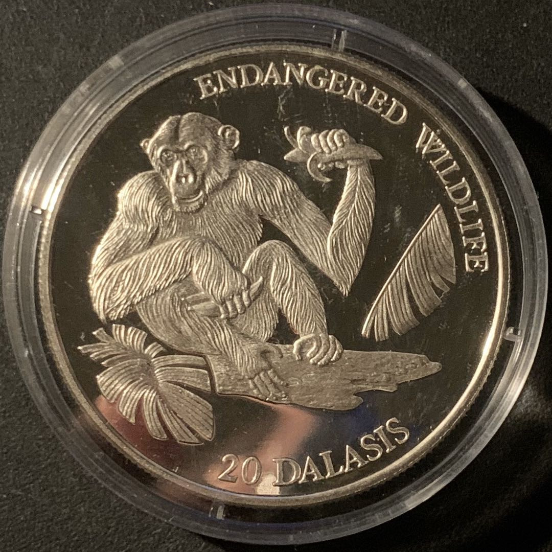 紫瑗钱币—微拍第50期  冈比亚 1994年  濒危珍稀动物 黑猩猩 20元 31.47克 0.925银 精制