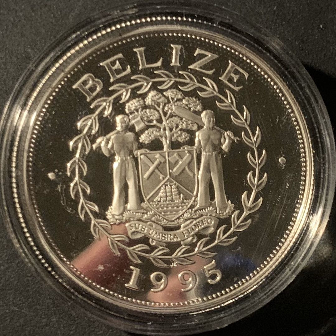 紫瑗钱币—微拍第50期  伯利兹 1995年 世界濒危野生动物 吼猴 10元 28.28克 0.925银 精制