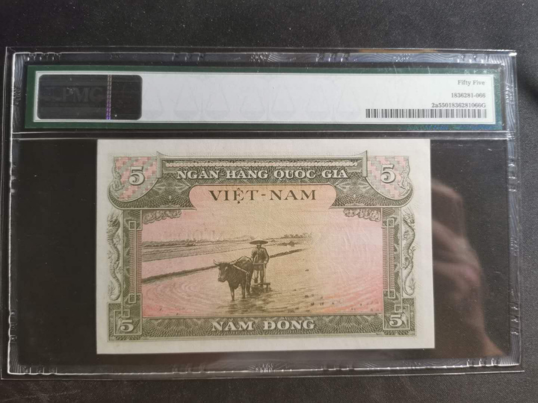 【鲸贝乐淘】千字文·第“墨悲丝染，诗赞羔羊”号拍卖 【越南🇻🇳】南越1955年5盾，PMG55 