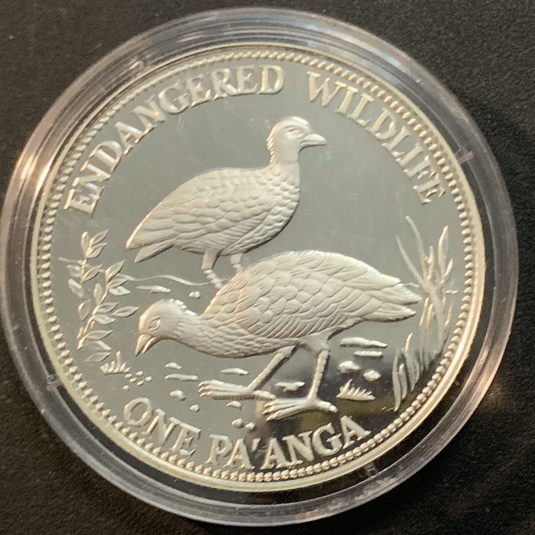 紫瑗钱币—微拍第51期 汤加 1991年 保护动物系列 冢雉 1 潘加 31.6克 0.925银 精制