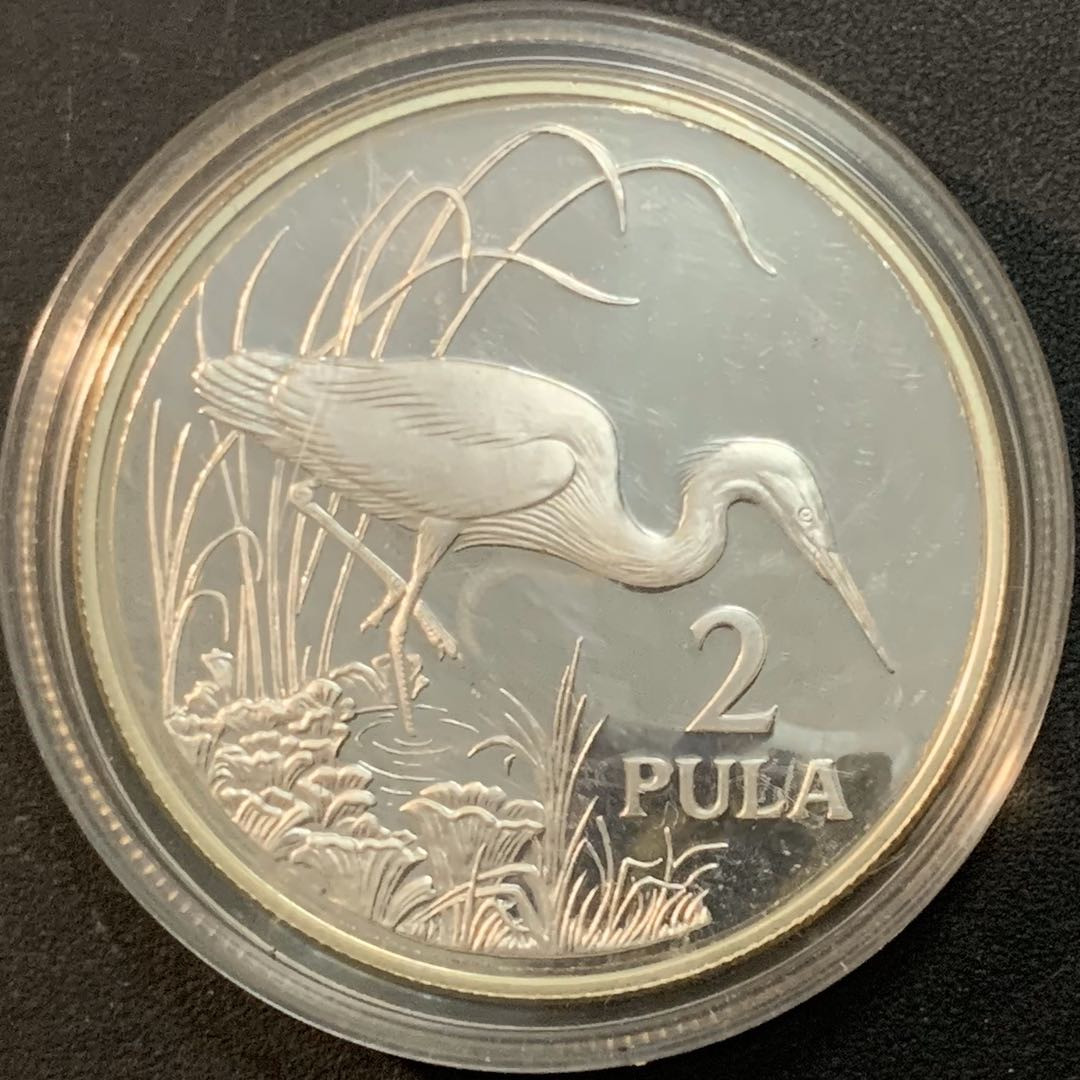 紫瑗钱币—微拍第51期 博茨瓦纳 1986年 保护动物系列 鹳 2帕拉 28.28克 0.925银 精制