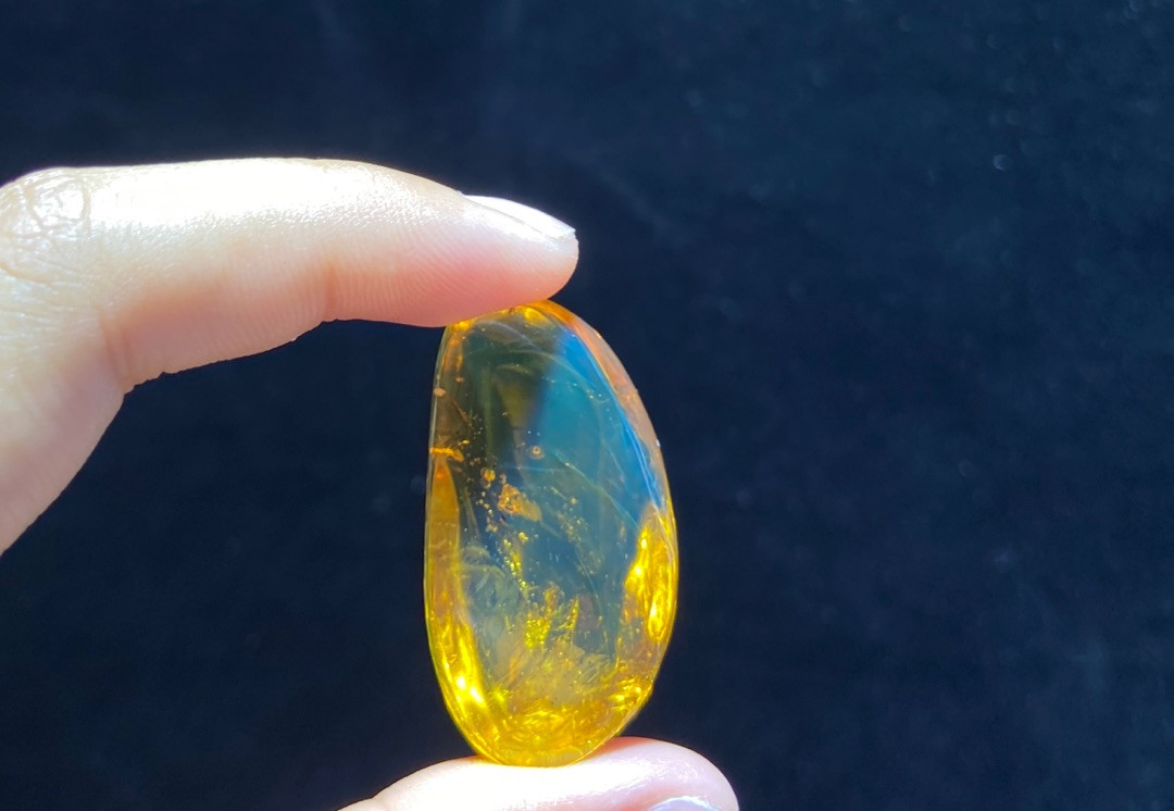 放漏专场 多米尼加虫珀