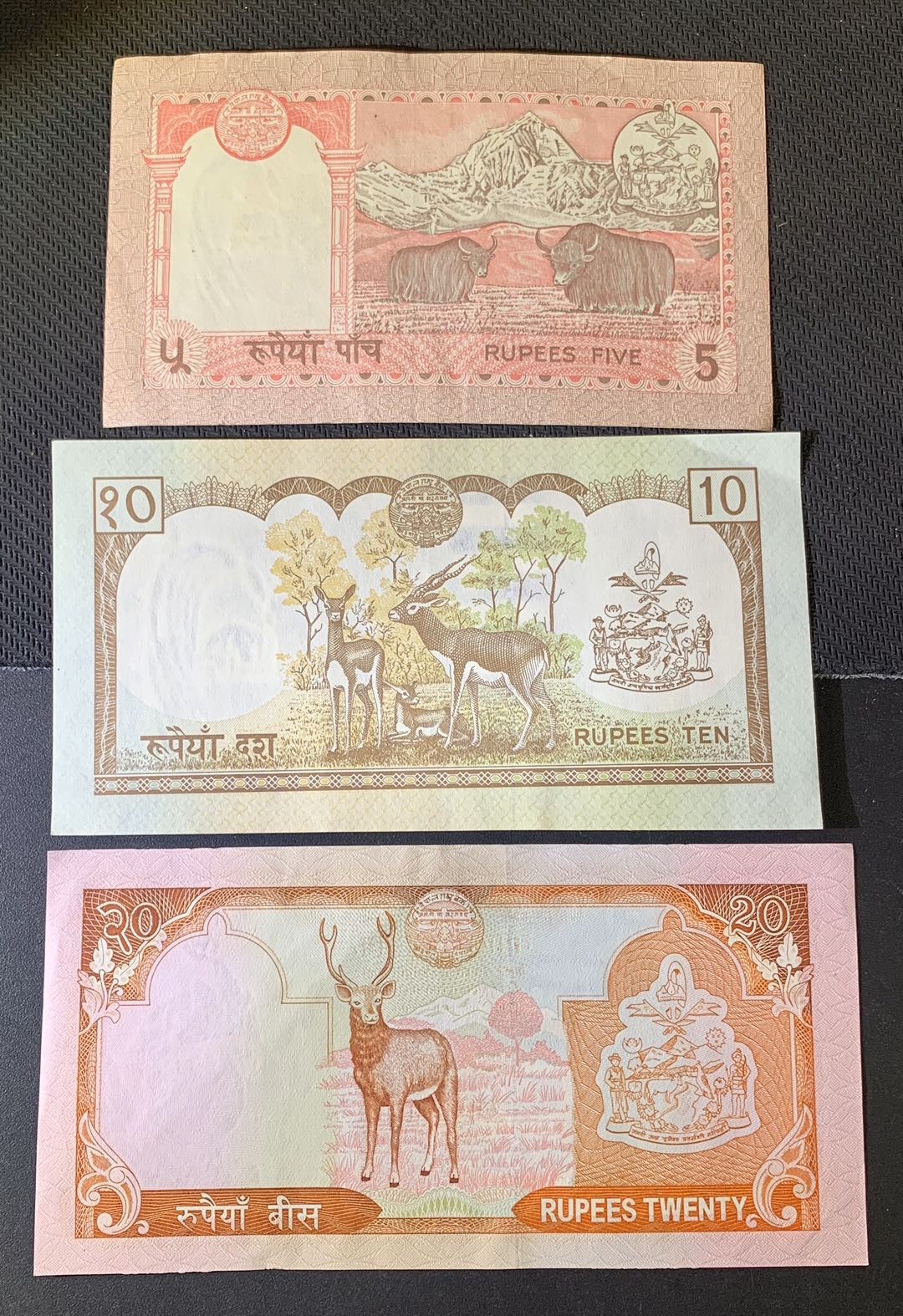 紫瑗钱币—微拍第52期 —纸币场 尼泊尔 纸质 5 10 20卢比 3枚一套 UNC