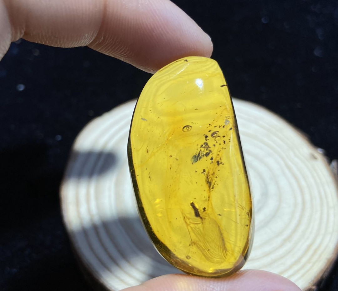 放漏专场 多米尼加虫珀