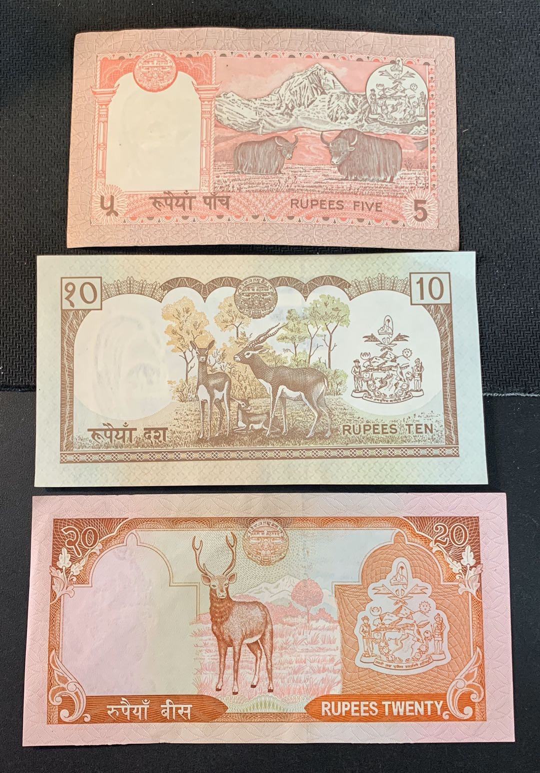 紫瑗钱币—微拍第52期 —纸币场 尼泊尔 纸质 5 10 20卢比 3枚一套 UNC