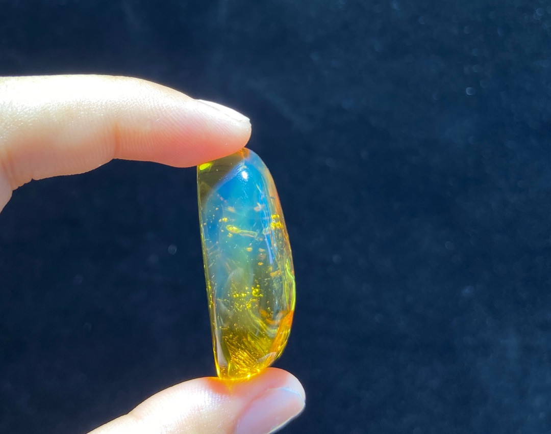 放漏专场 多米尼加虫珀