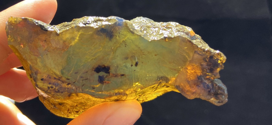 放漏专场 多米尼加蓝珀原石