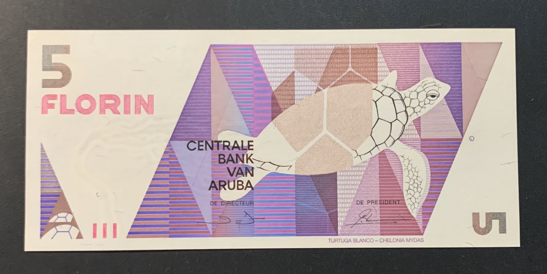 紫瑗钱币—微拍第54期 —纸币场 阿鲁巴 1990年 海龟 5弗洛林 UNC P-6