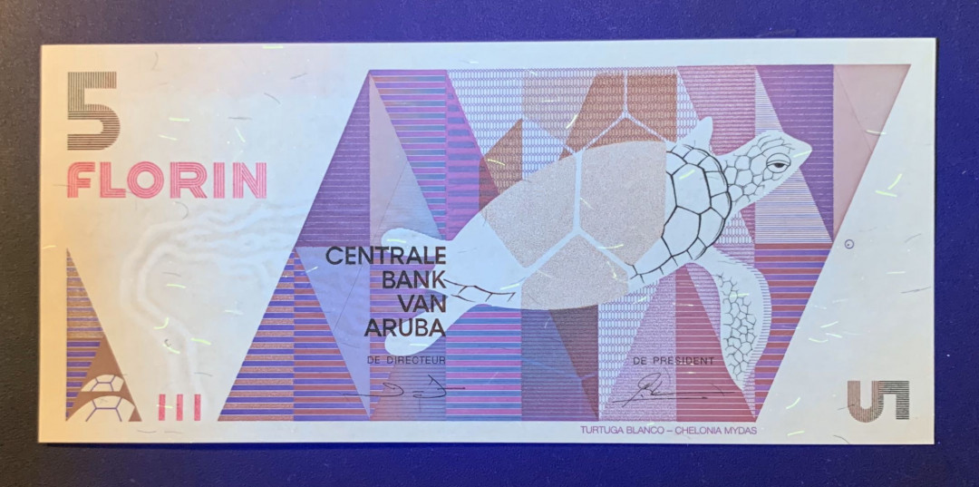 紫瑗钱币—微拍第54期 —纸币场 阿鲁巴 1990年 海龟 5弗洛林 UNC P-6