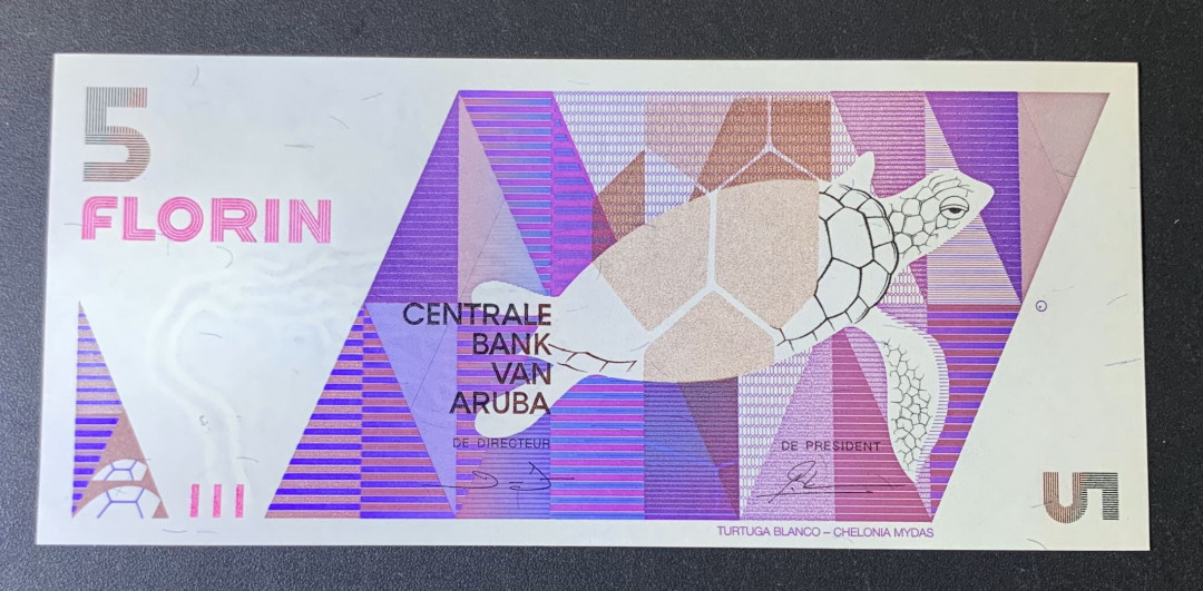 紫瑗钱币—微拍第54期 —纸币场 阿鲁巴 1990年 海龟 5弗洛林 UNC P-6