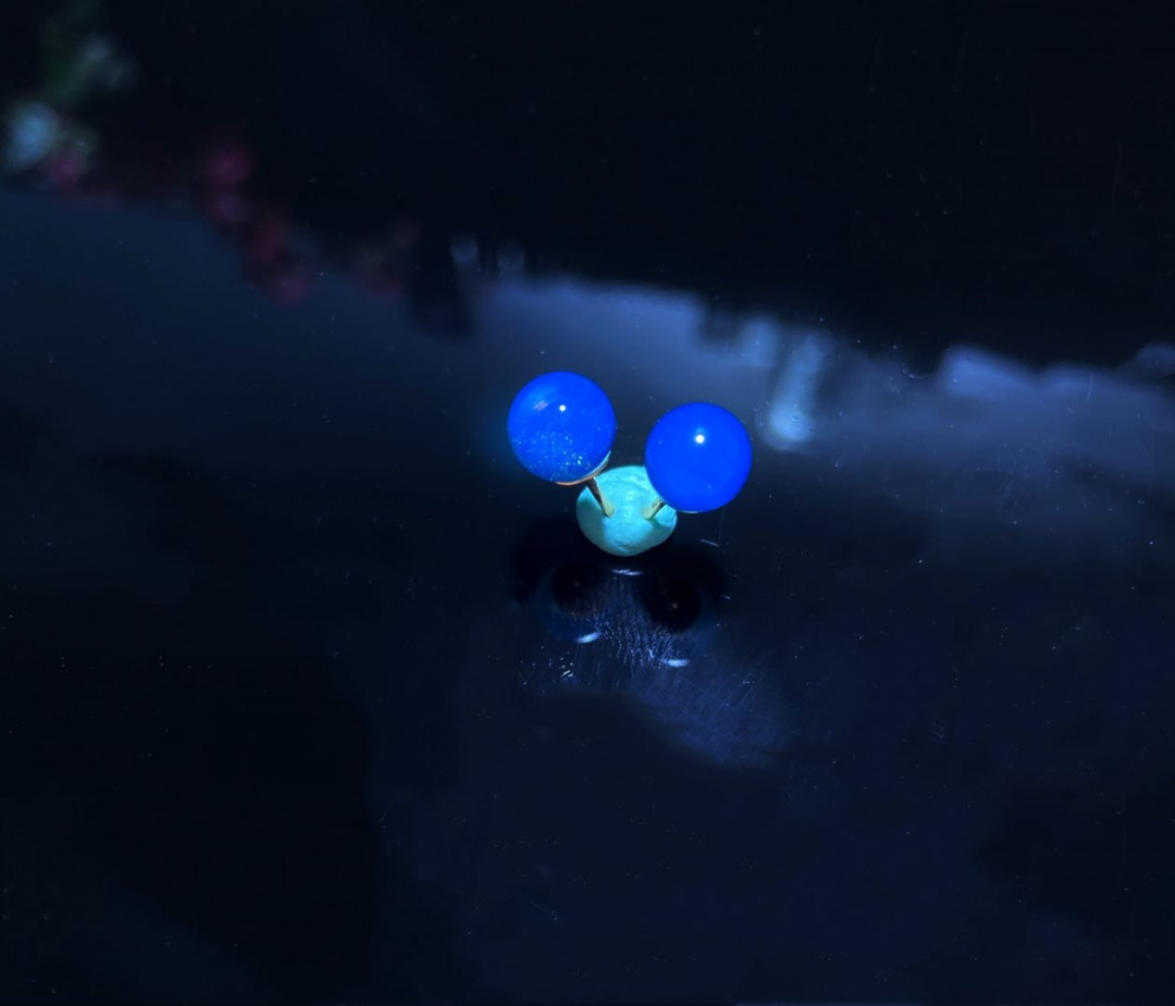 放漏专场 多米尼加蓝珀耳钉