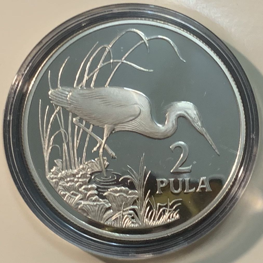 紫瑗钱币—微拍第55期  博茨瓦纳 1986年 世界珍稀动物系列 鹳 2帕拉 28.28克 0.925银 精制 WWF原装卡
