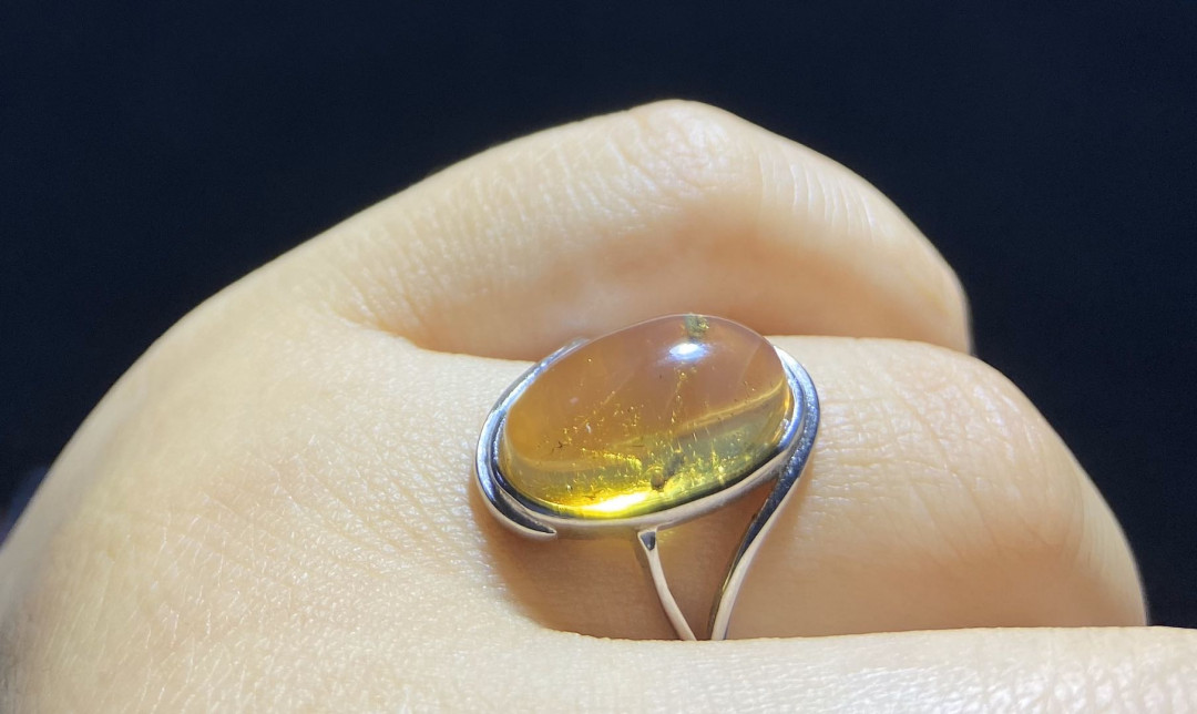 放漏拍卖 多米尼加虫珀