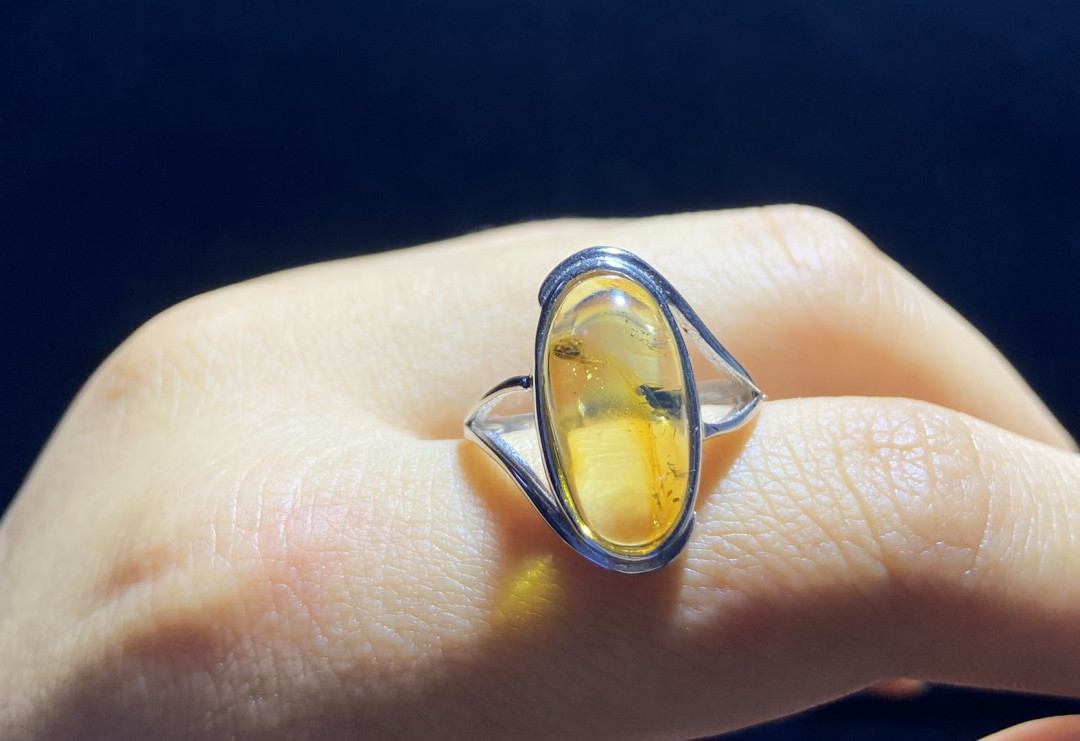 放漏拍卖 多米尼加虫珀