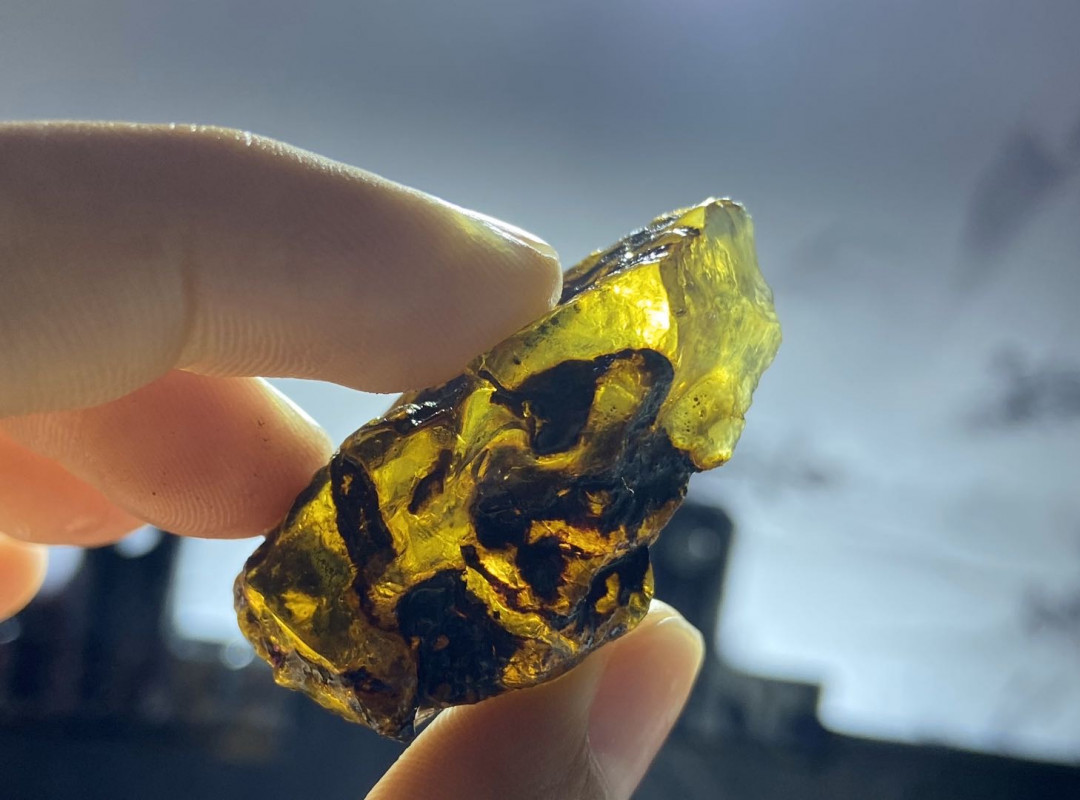 放漏拍卖 多米尼加蓝珀原石