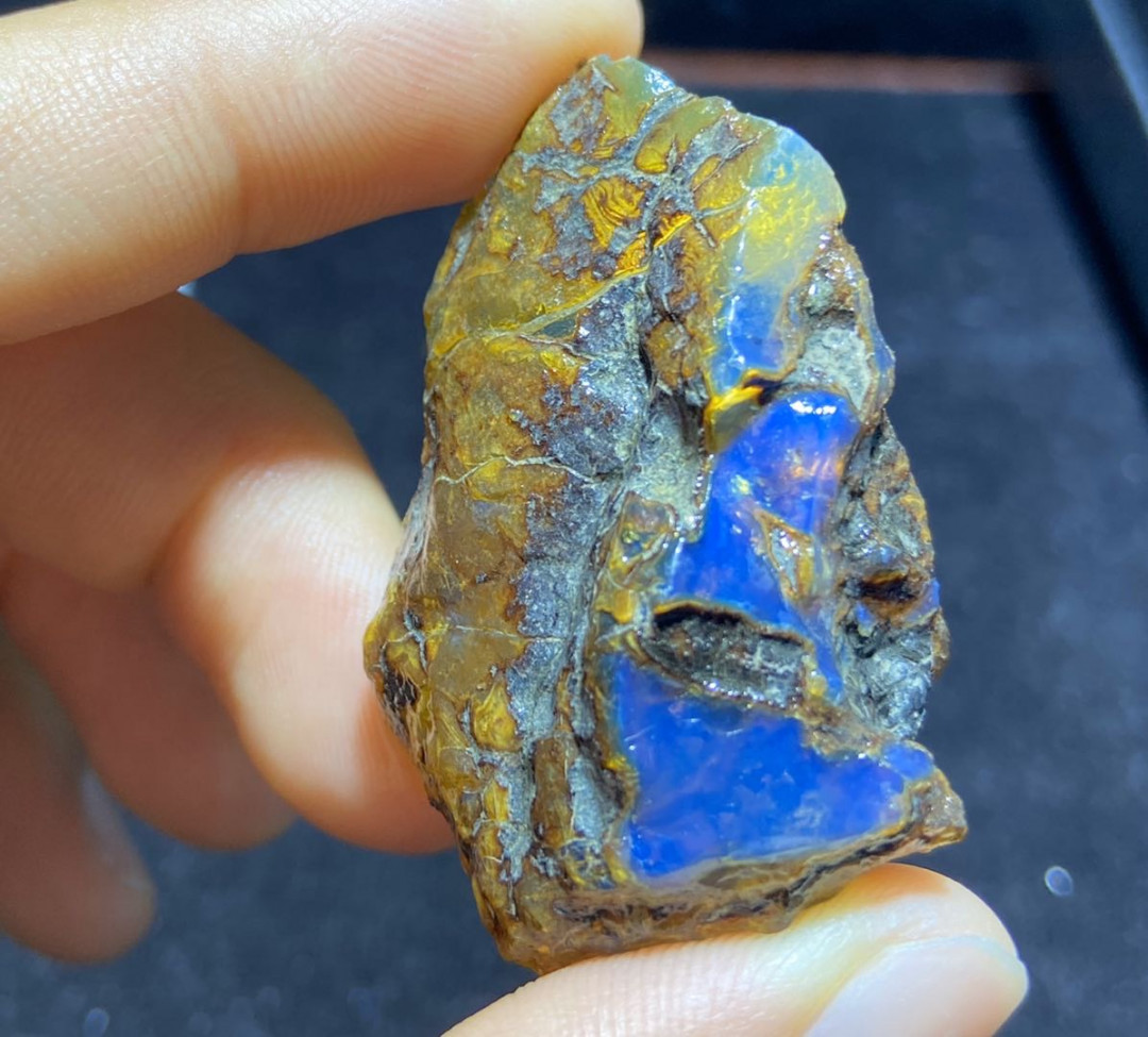 放漏拍卖 多米尼加蓝珀原石