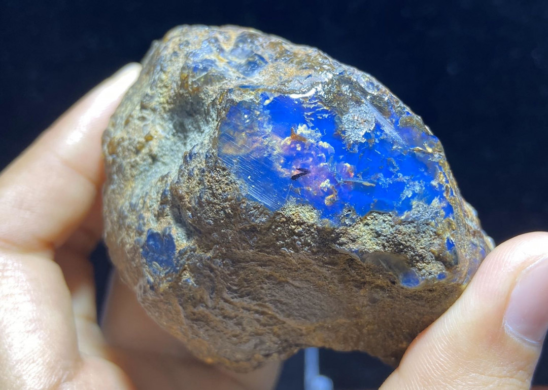 放漏拍卖 多米尼加蓝珀原石