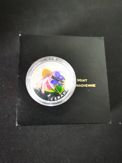 【随心&Getcoins】现代钱币拍卖第五十期 加拿大2013年玻璃系列蝴蝶与花