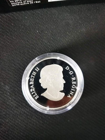 【随心&Getcoins】现代钱币拍卖第五十期 加拿大2013年玻璃系列蝴蝶与花