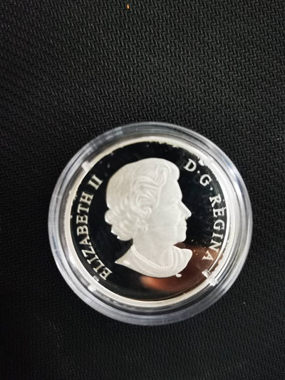 【随心&Getcoins】现代钱币拍卖第五十期 加拿大玻璃系列青蛙与荷叶