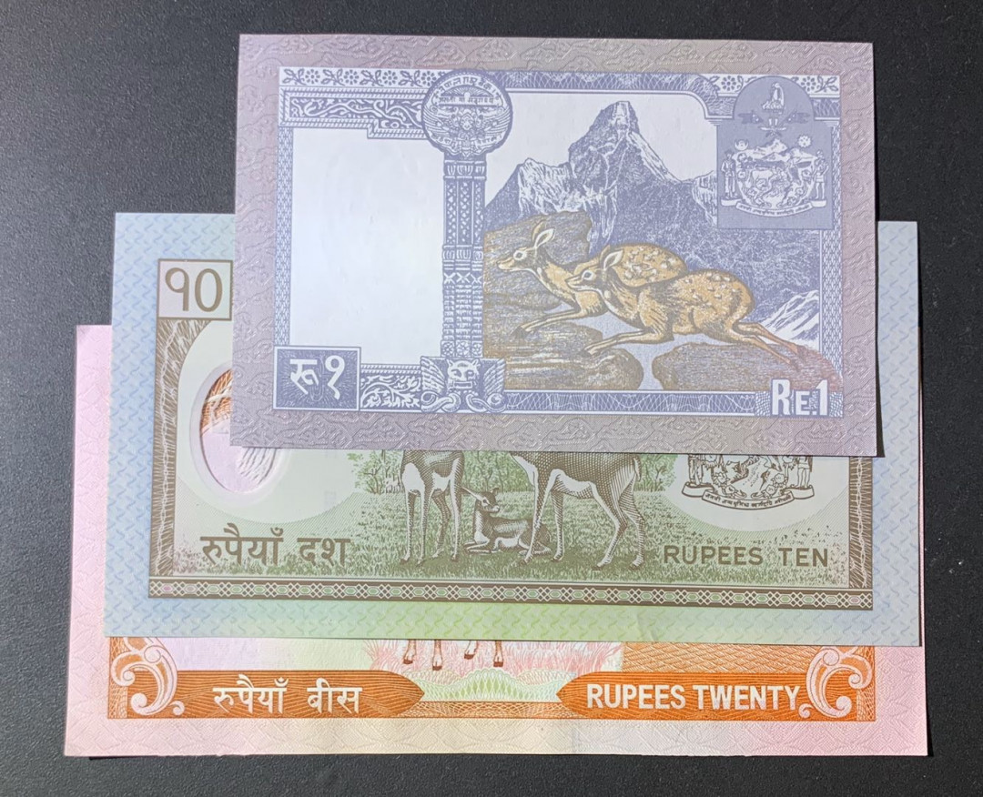 紫瑗钱币—微拍第60期—纸币场 尼泊尔 2000年 1 10 20卢比 3枚一组 UNC
