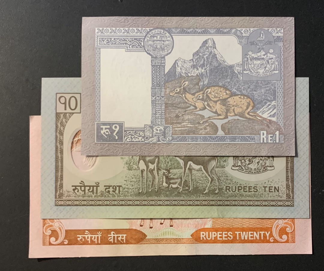 紫瑗钱币—微拍第60期—纸币场 尼泊尔 2000年 1 10 20卢比 3枚一组 UNC