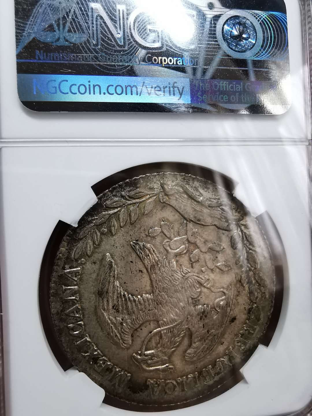 凡希社世界钱币微拍第一百二十期精品专场 1884GA墨西哥鹰洋NGC-UNCD厚包浆