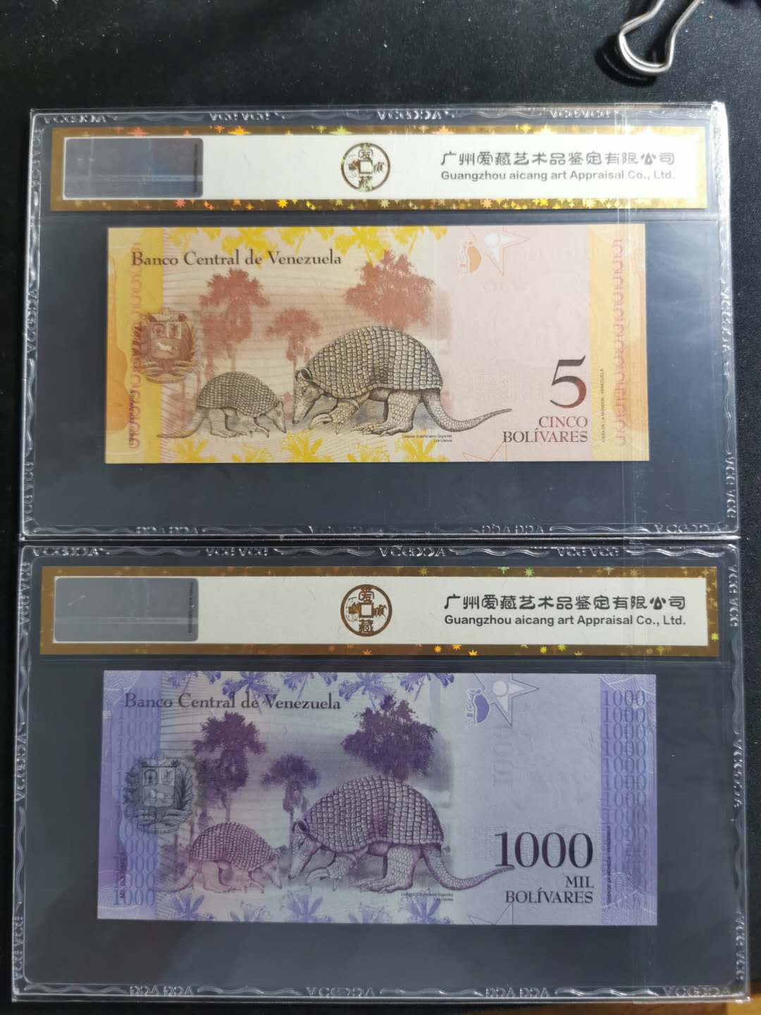 【鲸贝乐淘】千字文·第“临深履薄，夙兴温凊”号拍卖 爱藏金评，委内瑞拉6张一组，高分精美