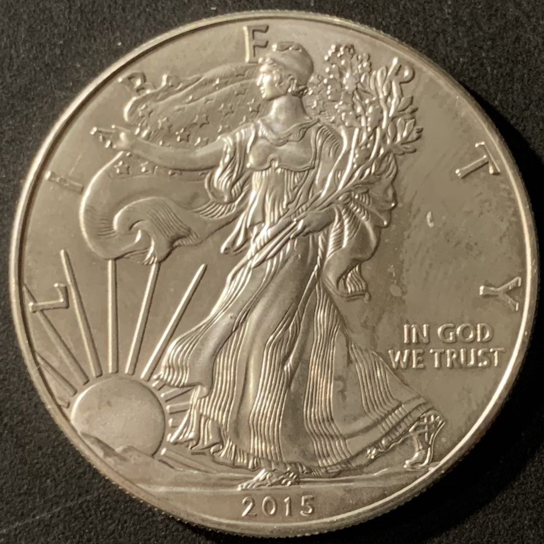 紫瑗钱币—微拍第65期  美国 2015年 行走女神 1盎司 投资银币 31.1克 0.999银 