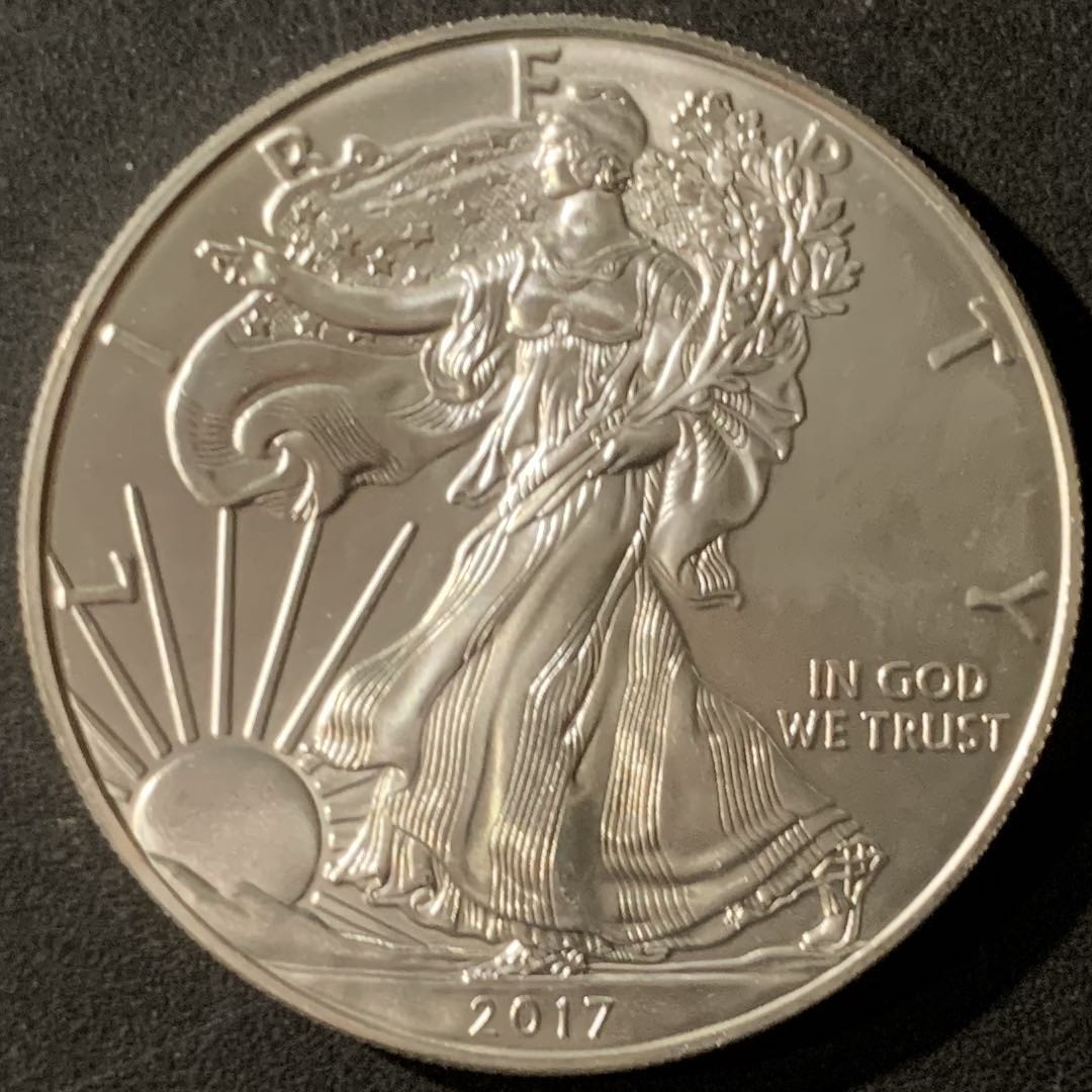 紫瑗钱币—微拍第65期  美国 2015年 行走女神 1盎司 投资银币 31.1克 0.999银 