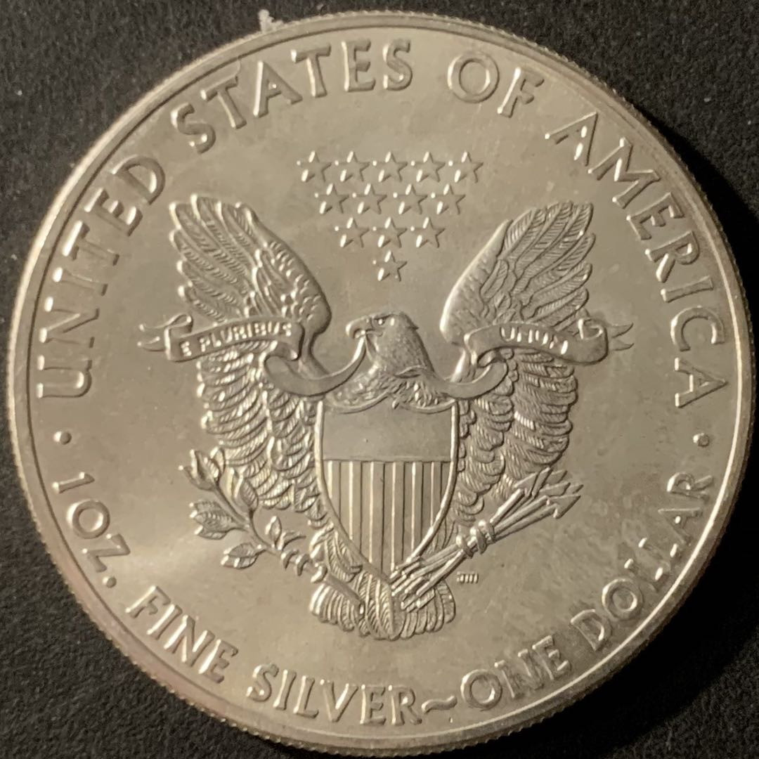 紫瑗钱币—微拍第65期  美国 2015年 行走女神 1盎司 投资银币 31.1克 0.999银 