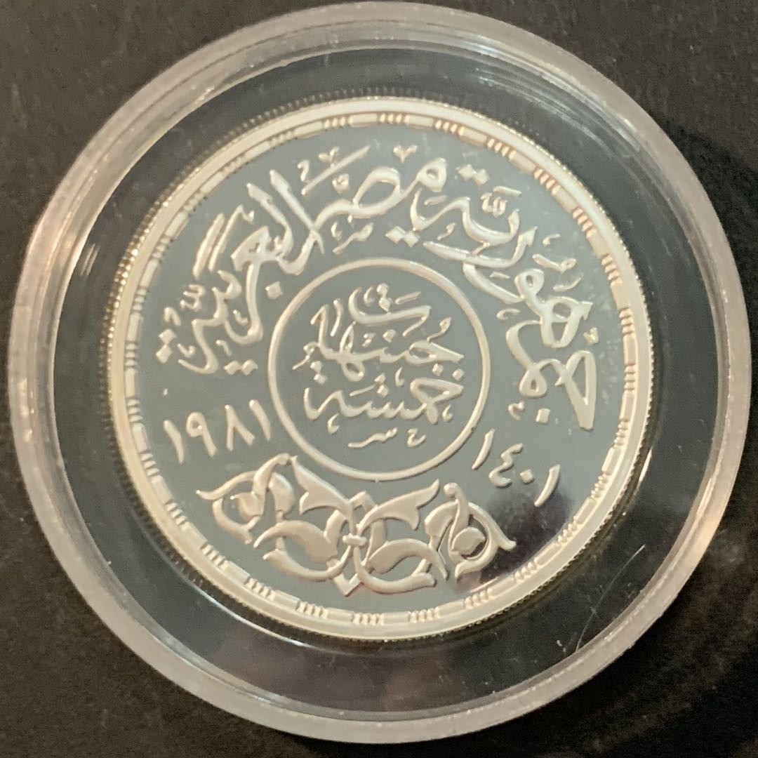 紫瑗钱币—微拍第66期  埃及 1981年 国际儿童年 5磅 24克 0.9银 精制