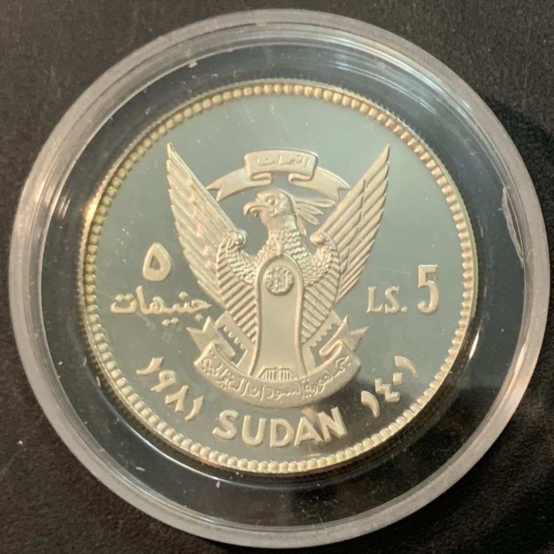 紫瑗钱币—微拍第66期  苏丹 1981年 国际儿童年 5磅 19.44克 0.925银 精制