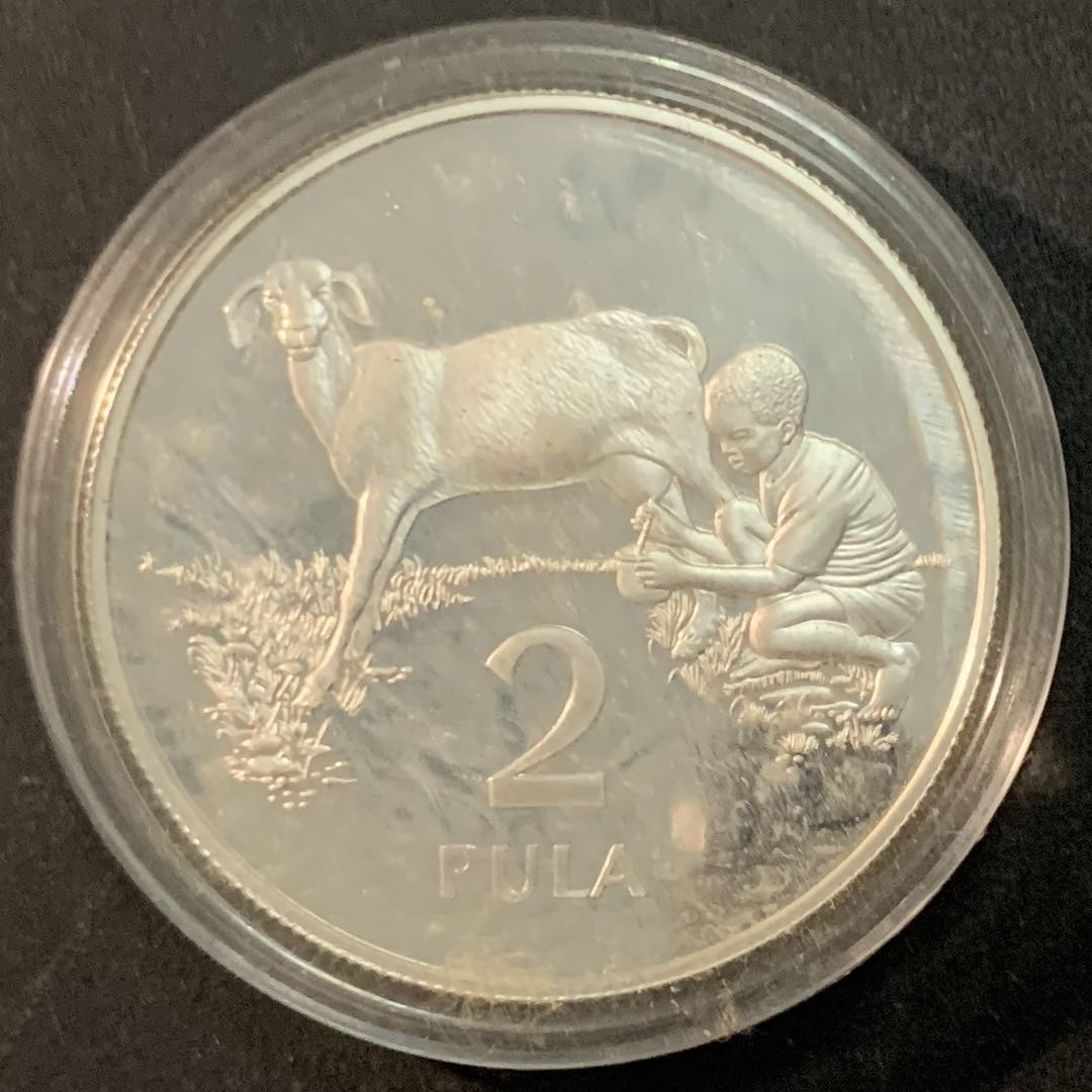 紫瑗钱币—微拍第66期  博茨瓦纳 1989年 拯救儿童基金会 2普拉 28.28克 0.925银 精制