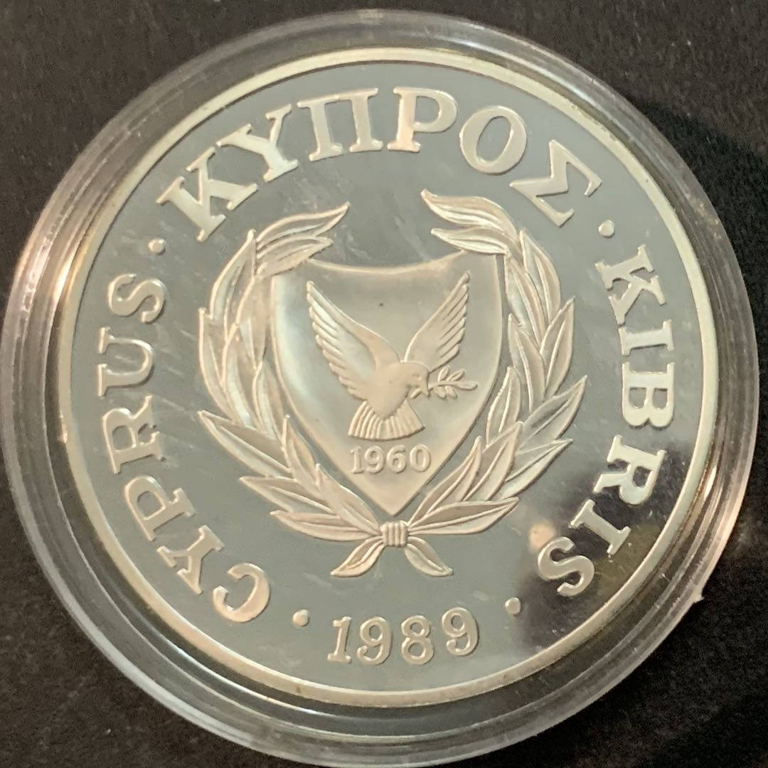 紫瑗钱币—微拍第66期  塞浦路斯 1989年 拯救儿童基金会 1磅 28.28克 0.925银 精制