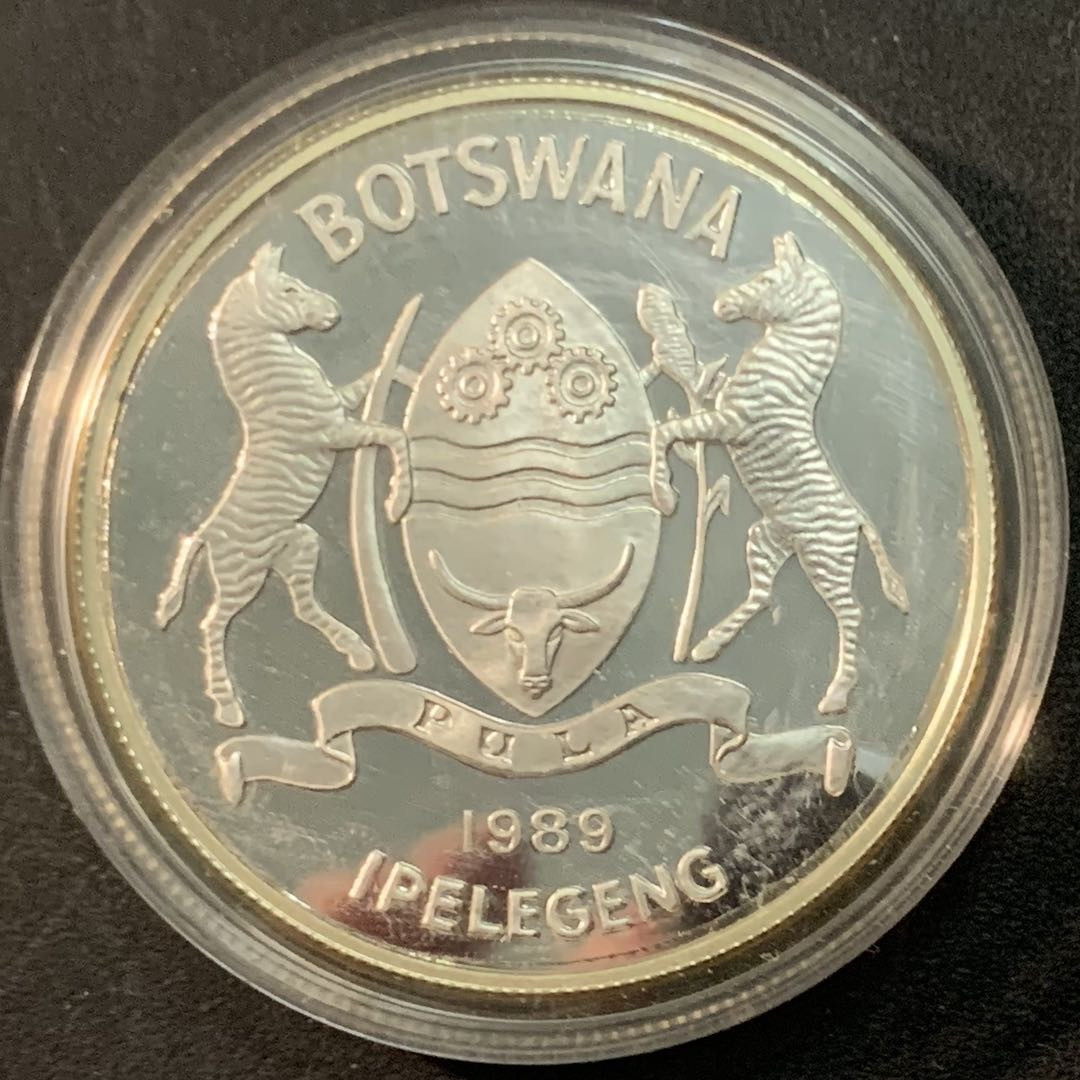紫瑗钱币—微拍第66期  博茨瓦纳 1989年 拯救儿童基金会 2普拉 28.28克 0.925银 精制