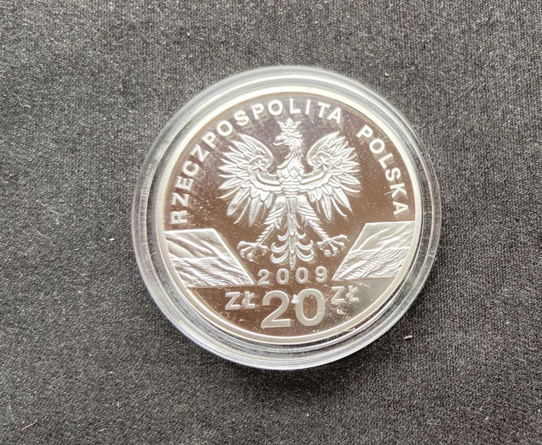 【币观天下】第108期钱币拍卖【520专拍】 【波兰】波兰2009年绿蜥蜴精制纪念银币