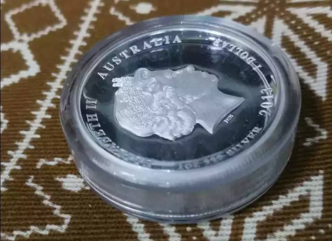 北京马甸外币专卖拍卖第八期，陆续上新，欢迎关注 2013年澳大利亚生肖蛇1盎司加厚精制银币，品相如图，有证无盒