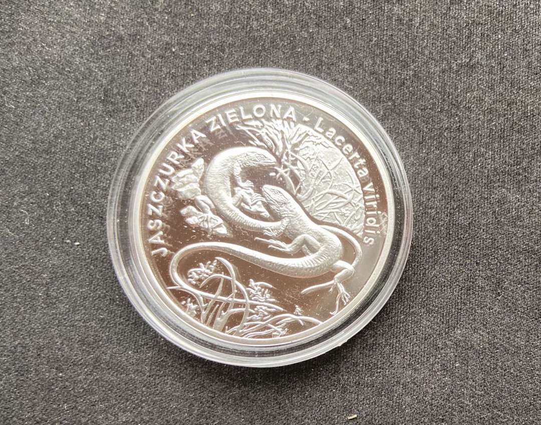 【币观天下】第108期钱币拍卖【520专拍】 【波兰】波兰2009年绿蜥蜴精制纪念银币