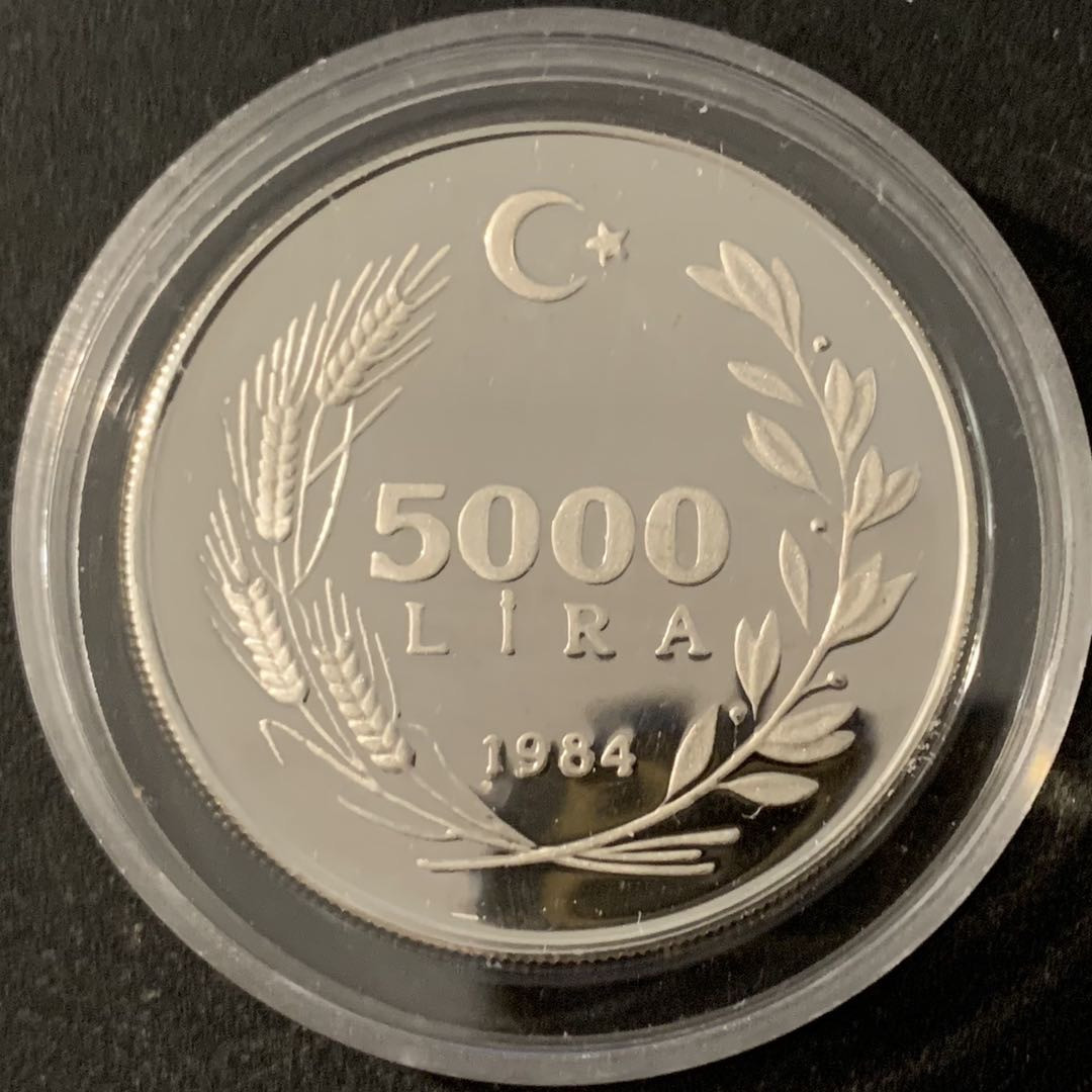 紫瑗钱币—微拍第68期  土耳其 1984年 国际妇女年 5000里拉 23.33克 0.925银 精制