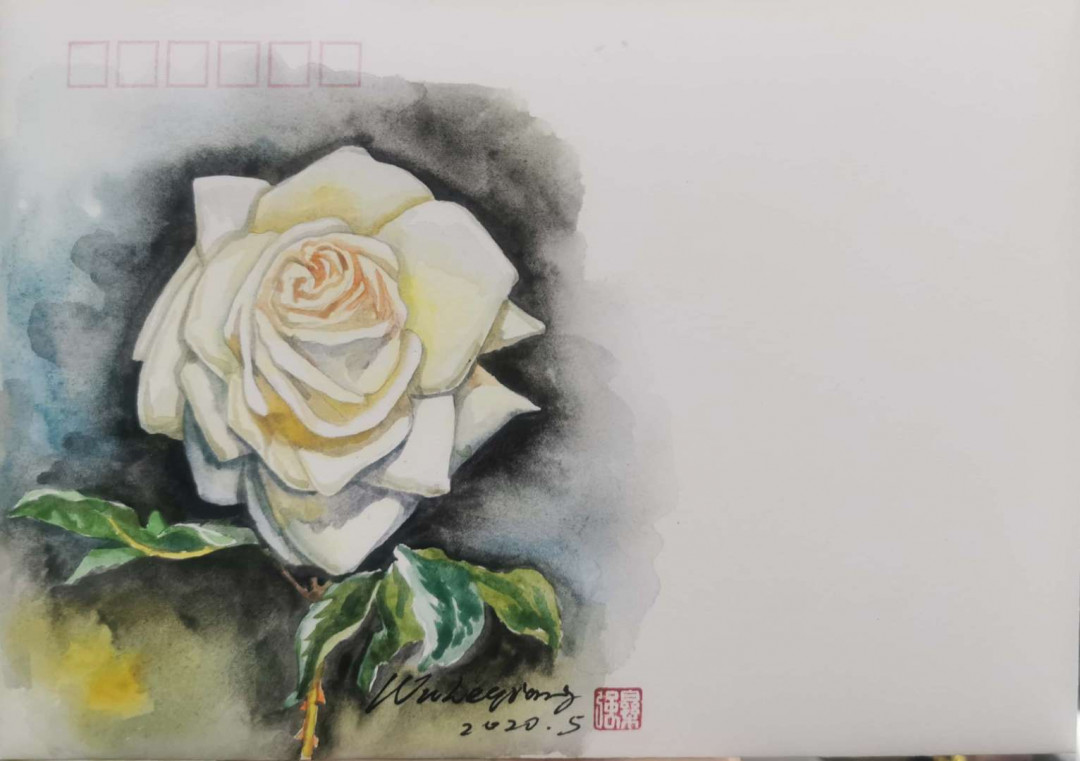 红楼梦，玫瑰花秒杀竞价活动 水彩纸c5，玫瑰