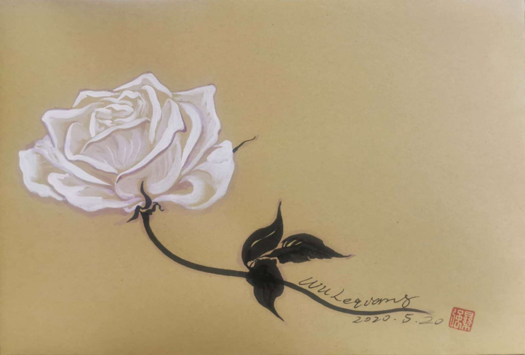 红楼梦，玫瑰花秒杀竞价活动 玫瑰4