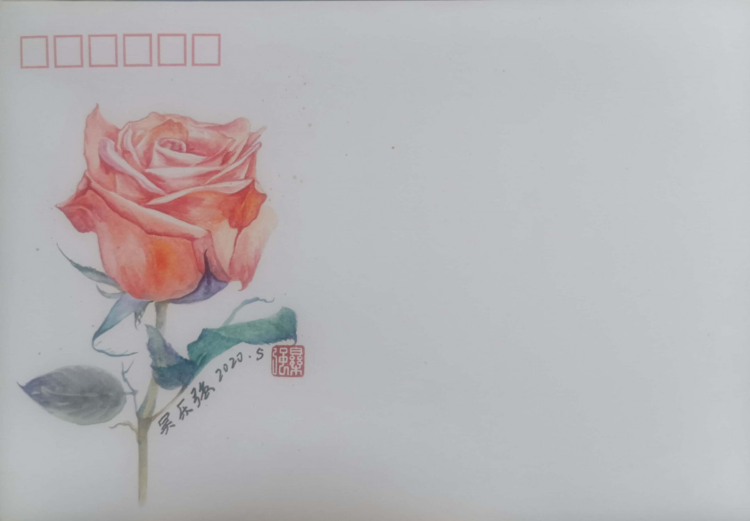 红楼梦，玫瑰花秒杀竞价活动 玫瑰7