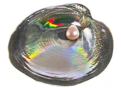 【随心拍&GetCoins】现代钱币拍卖第五十三期 帕劳2013年玉蚌含珠纪念银币