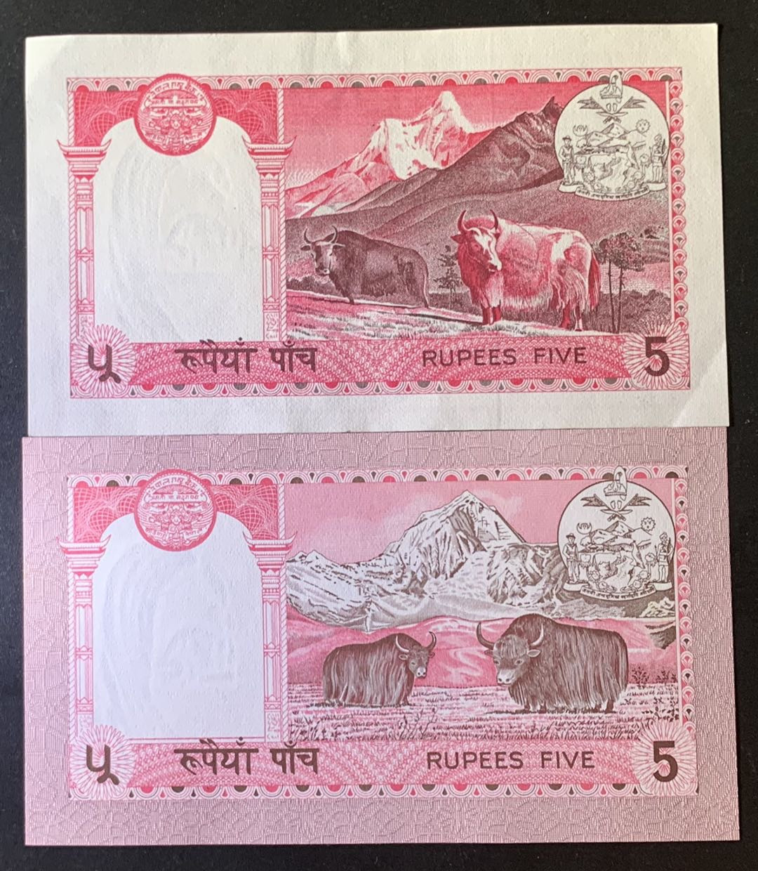 紫瑗钱币—微拍第69期 —纸币场 尼泊尔 1974 1981年 早期 5卢布 2枚一组 UNC P-23a P-30b