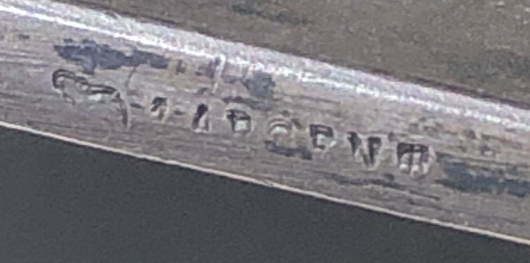 新艺术名家拍卖会 天使