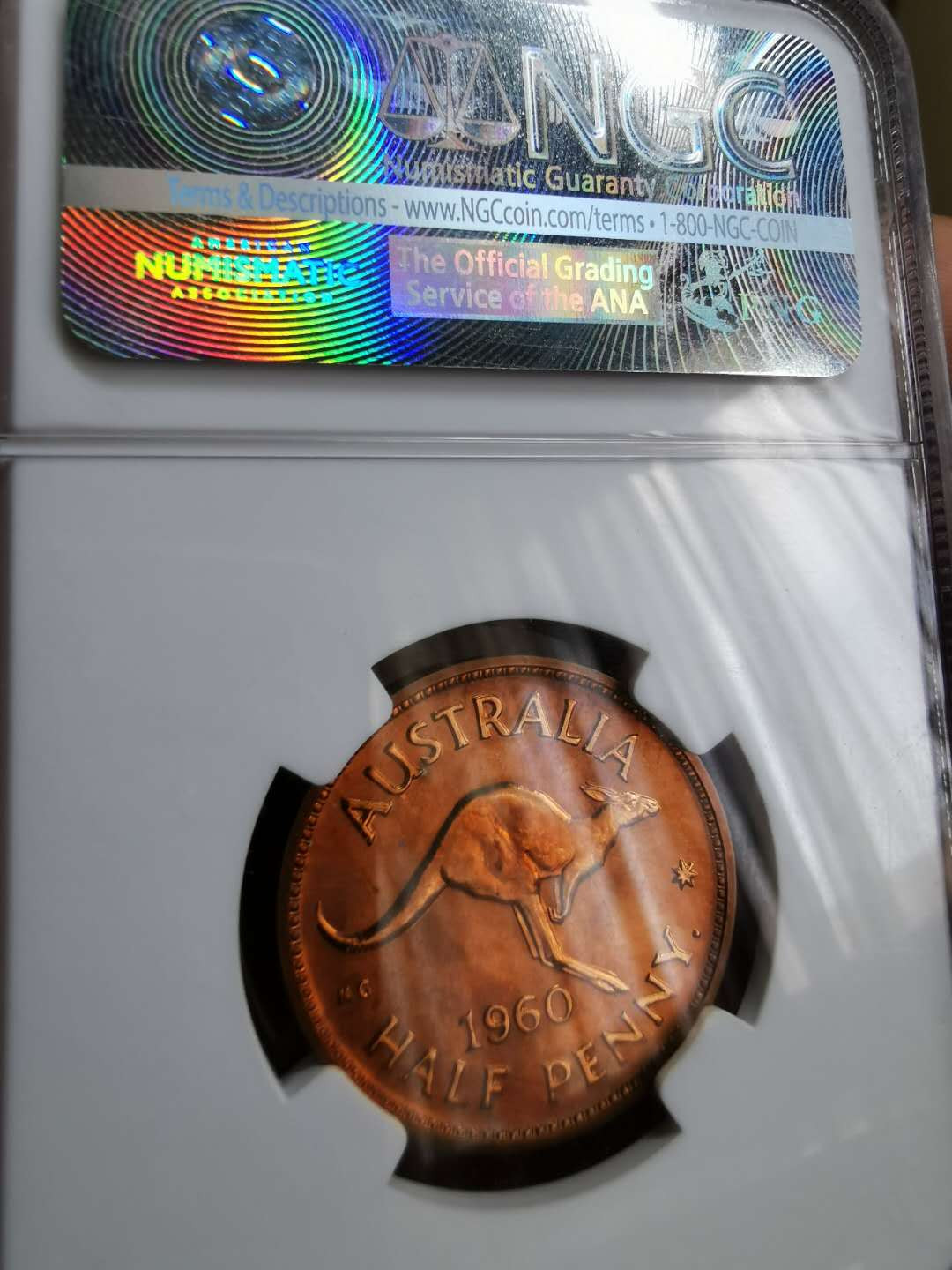 凡希社世界钱币微拍第一百二十二期 1960澳大利亚精铸1/2便士NGC-PF63RD