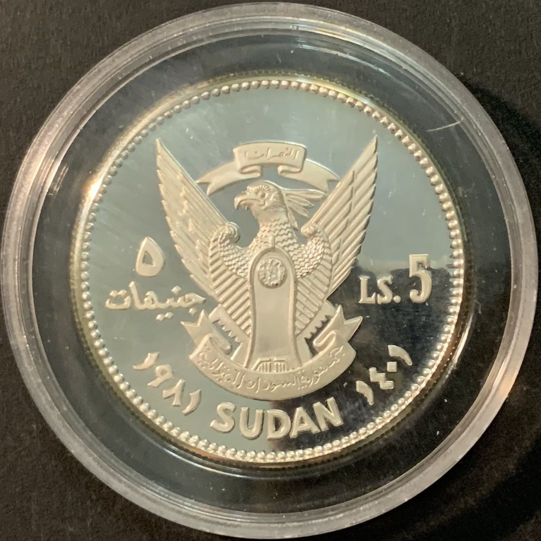 紫瑗钱币—微拍第71期  苏丹 1981年 国际儿童年 5磅 19.44克 0.925银 精制