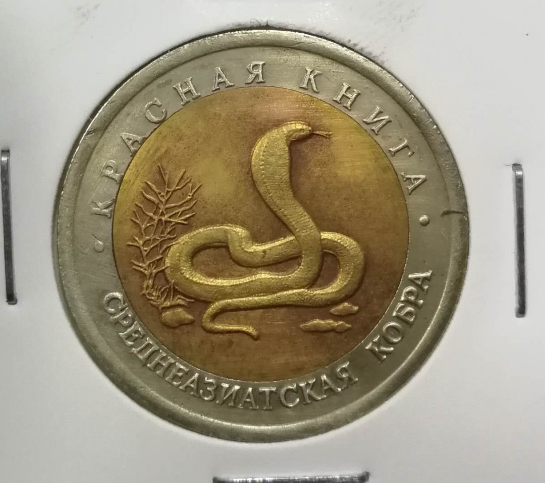 北京马甸外币专卖拍卖第十期，非贵金属硬币专场，陆续上新敬请关注 	前苏联野生动物蛇双金属纪念币，品相如图 