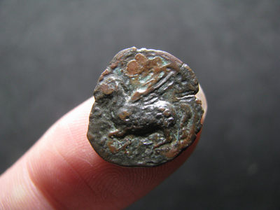 2020“爱你爱你”第二十七期~外国古钱币 - 古希腊，飞马帕加索斯，铜币